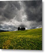 Yellow Meadow Metal Print