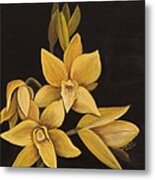 Yellow Orchid Metal Print