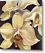 Yellow Phalaenopsis Orchid Metal Print