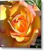 Yellow Rose Bud Metal Print