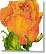 Yellow Rose Bud Metal Print
