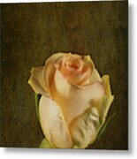 Yellow Rose Metal Print