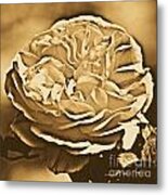 Yellow Rose Of Texas Floral Decor Square Format Rustic Digital Art Metal Print