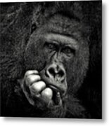 You .... Metal Print