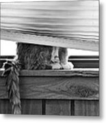 You Can't See Me Metal Print