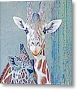Young Giraffes Metal Print