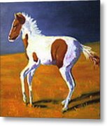 Youngster Metal Print