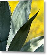 Yucca And Wildflowers Metal Print