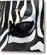 Zebra Eye Metal Print