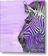 Zebra Purple Mist Metal Print