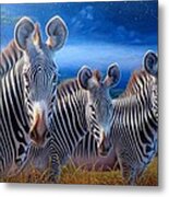 Zebras Metal Print