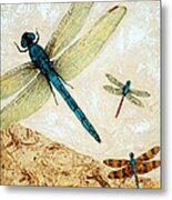 Zen Flight - Dragonfly Art By Sharon Cummings Metal Print