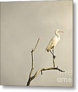 Zen Metal Print