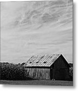 Zink Rd Farm 2 In Black And White Metal Print