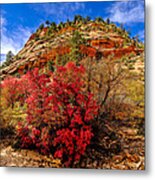 Zion Mountain Maples Metal Print