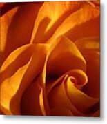 Zowie Rose Metal Print