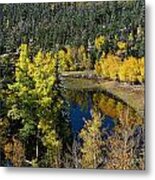 Fall Color On Bobcat Pass Metal Print