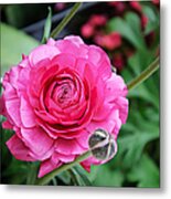 The Essence And Elegance Of Pink Metal Print