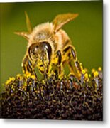 Bee There #2 Metal Print