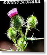 Bonnie Scotland #1 Metal Print