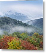 Broadleaf Forest In Fall Colors As Seen #1 Metal Print