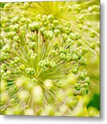 Budding Foliage #1 Metal Print