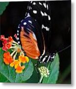 Butterfly With Mini Flowers Metal Print