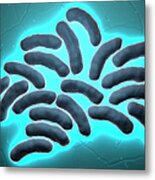 E-coli Cells #1 Metal Print