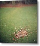 Empty Lawn With A Little Heap Of Leaves Scraped Together #1 Metal Print