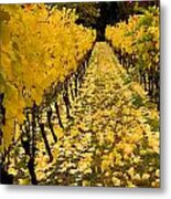 Fall In The Vineyard #2 Metal Print