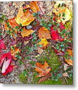 Fall Mixer #1 Metal Print