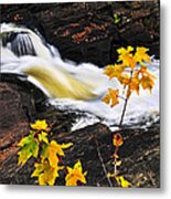 River Flowing Through Fall Forest Metal Print