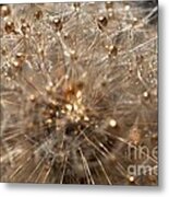 Golden Flower #4 Metal Print