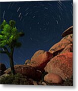 Joshua Tree At Night #1 Metal Print