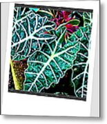 Leafs #1 Metal Print