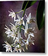 Little White Orchids #1 Metal Print