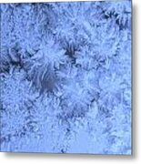Morning Frost #1 Metal Print