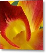 Photograph Of A Hope Orchid Flower #1 Metal Print