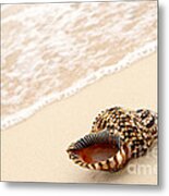 Seashell And Ocean Wave 3 Metal Print