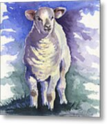 Shellies Lamb #1 Metal Print