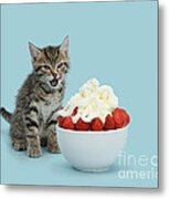 Strawberries And Cream #1 Metal Print