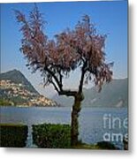 Tree And Mountain #1 Metal Print