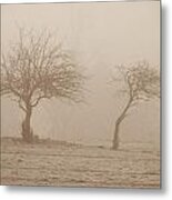 Trees In Fog #1 Metal Print