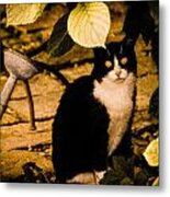 Venice, Italy - Venetian Cat Metal Print