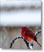 Waiting Out The Snow Storm #1 Metal Print
