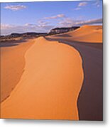 Wind Ripples In Sand Dunes #1 Metal Print