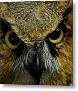 Wise Old Owl #1 Metal Print