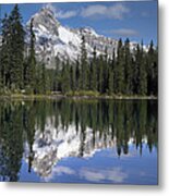 Wiwaxy Peaks And Cathedral Mountain #1 Metal Print