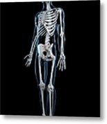 Human Skeleton, Artwork #10 Metal Print