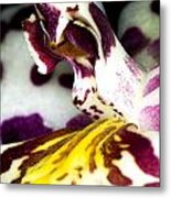 Exotic Orchid Flower #14 Metal Print